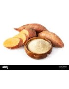 Farines de Patate Douce